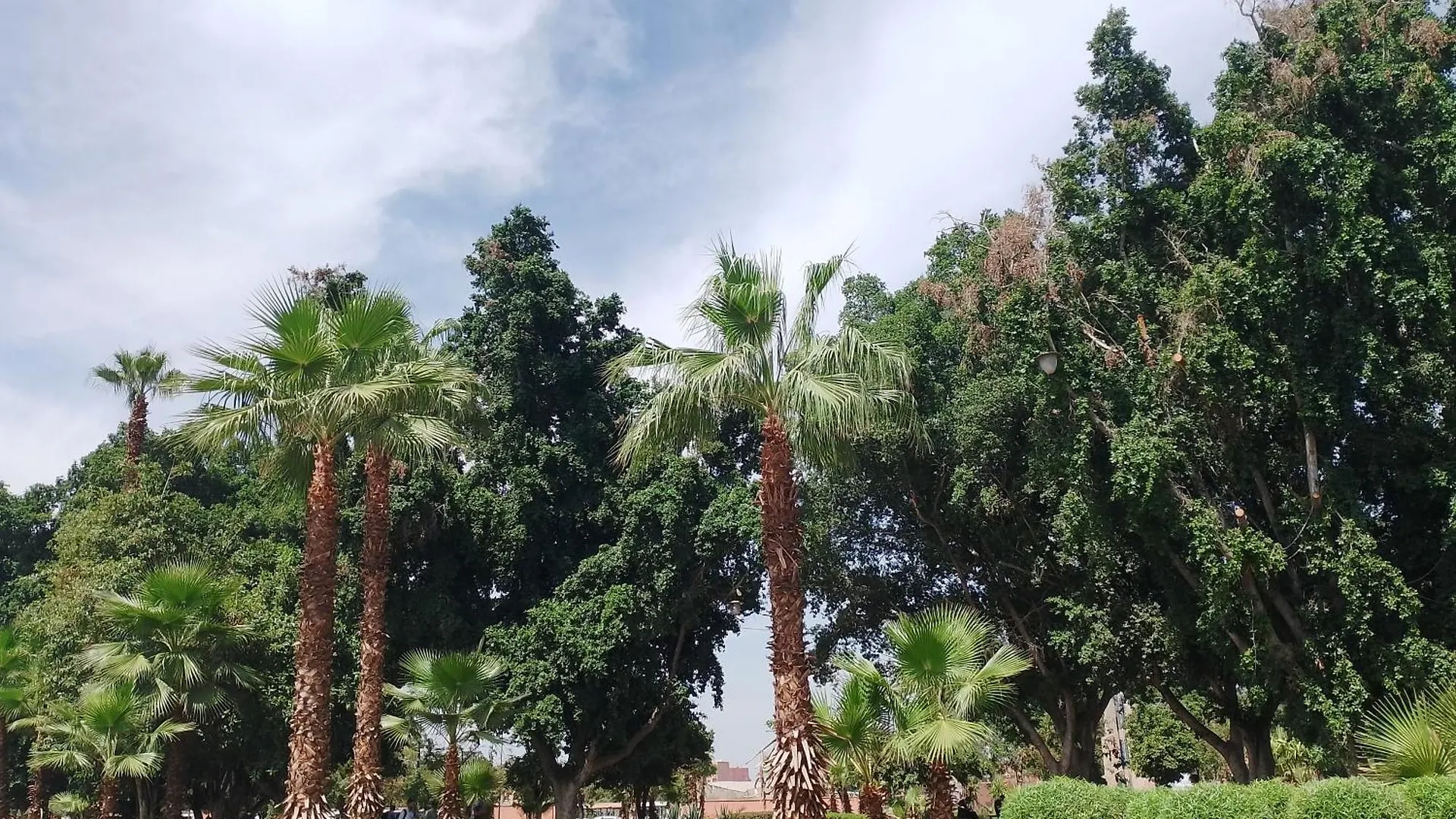 Riad Rooftop Terrace Green House Ξενοδοχείο Μαρακές Μαρόκο