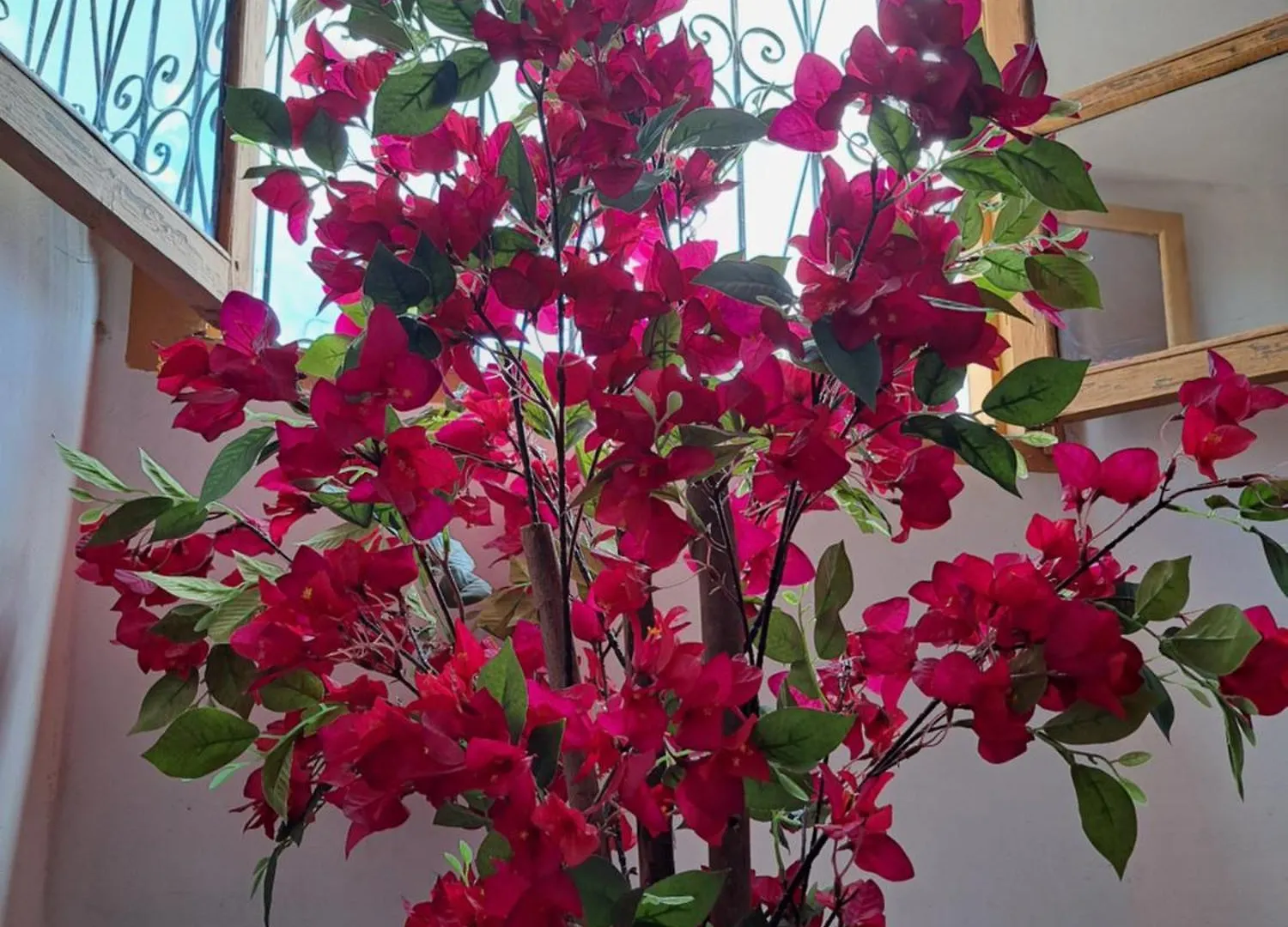 Riad Rooftop Terrace Green House Ξενοδοχείο Μαρακές