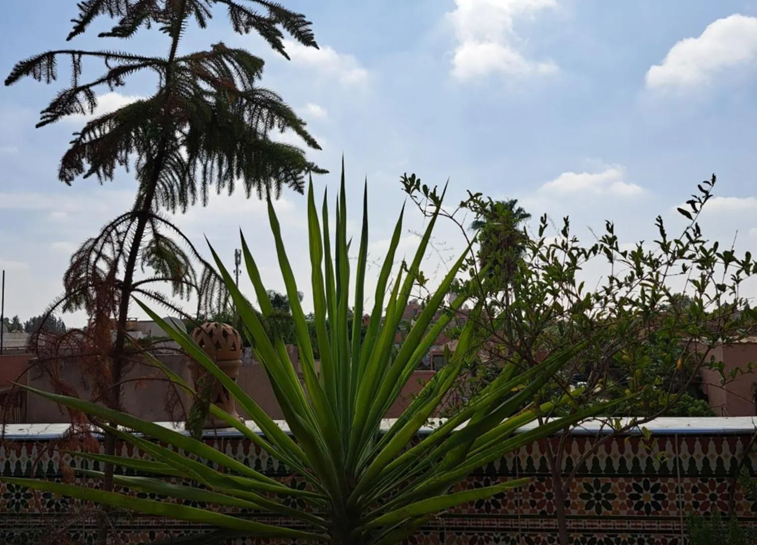 Riad Rooftop Terrace Green House Hotel Marrakesh