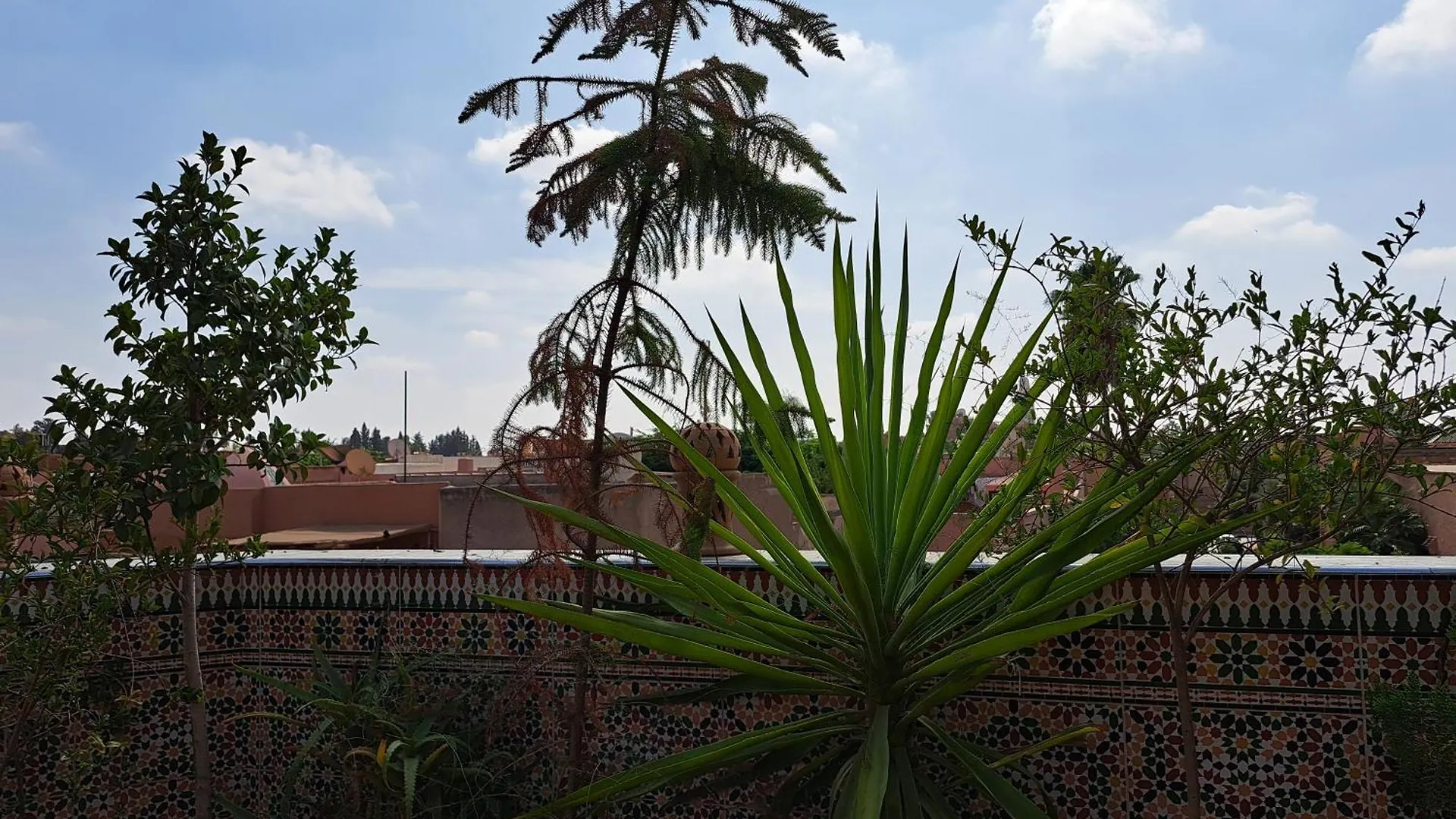 Riad Rooftop Terrace Green House Hotel Marrakesh Morocco