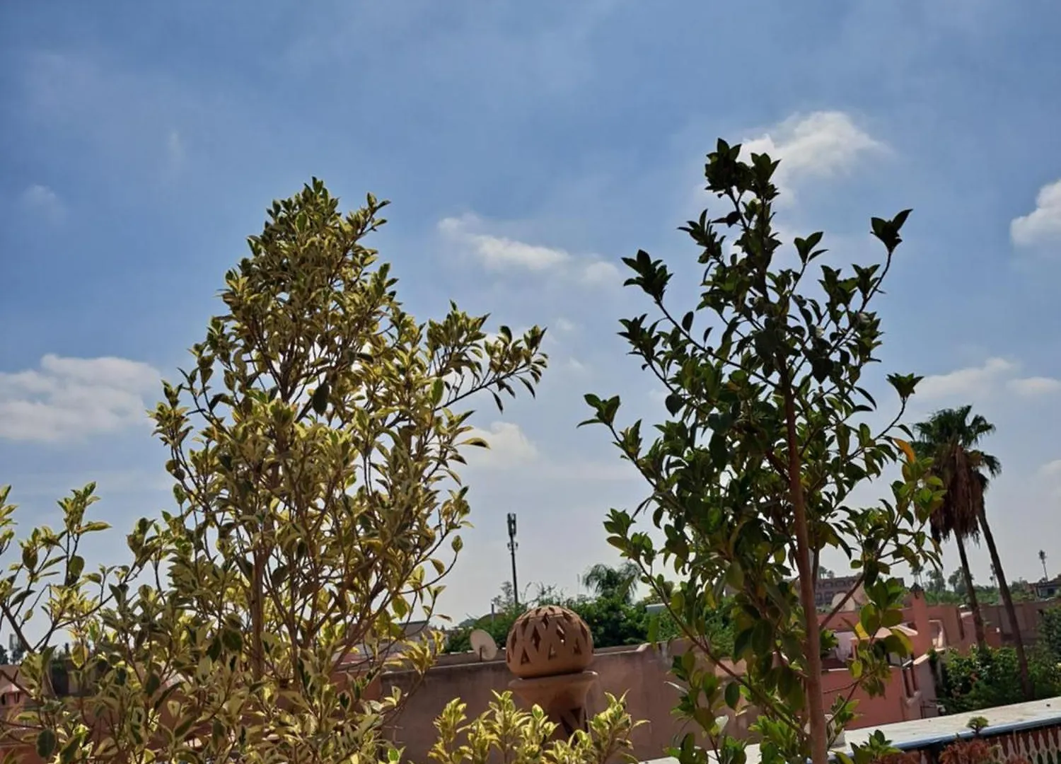 Riad Rooftop Terrace Green House Hotel Marrakesh 0*,