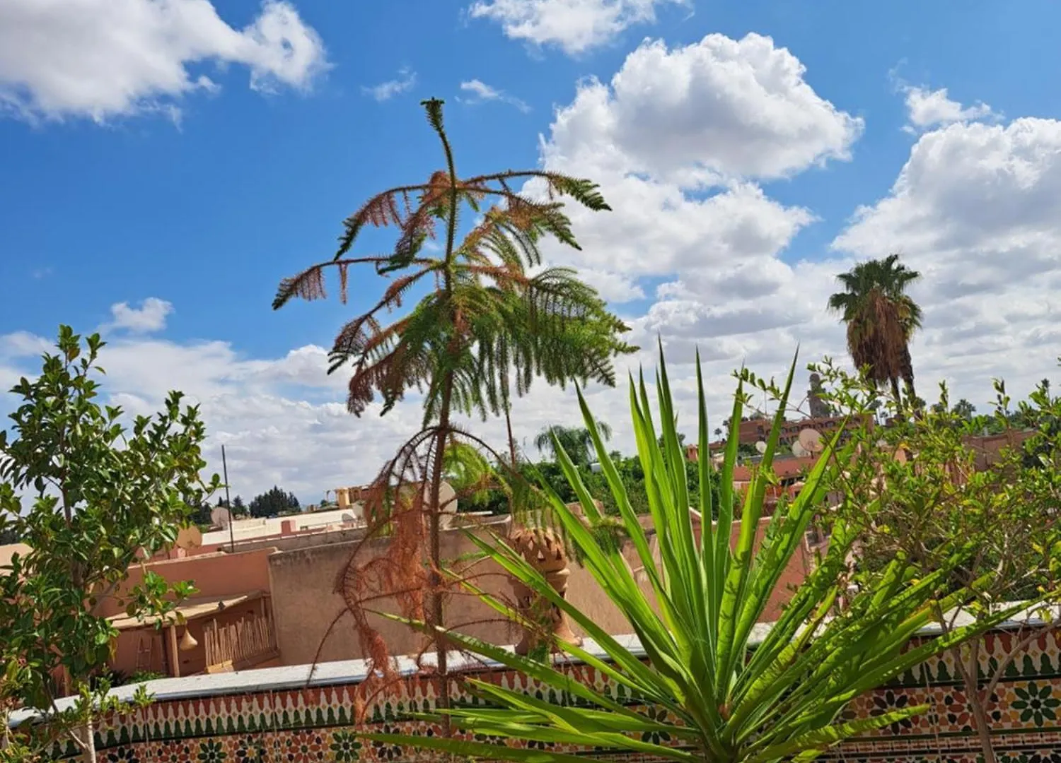 Riad Rooftop Terrace Green House Hotel Marrakesh